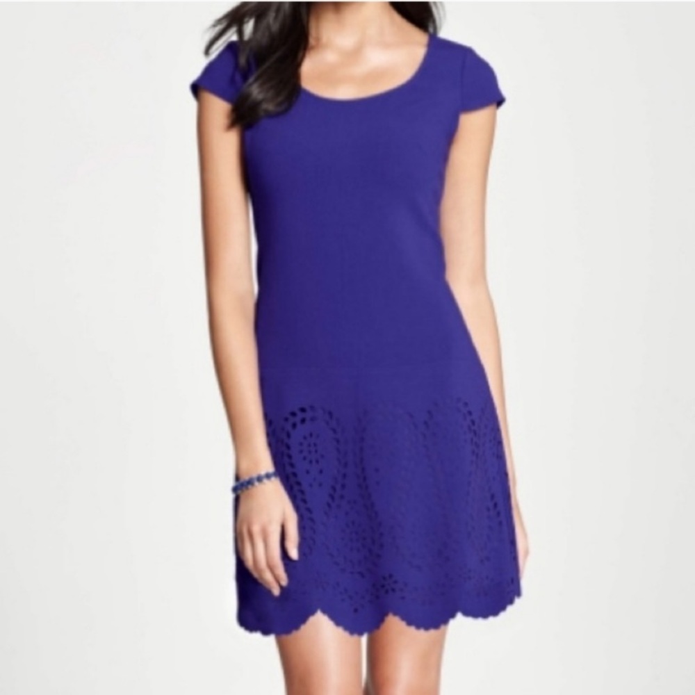 Ann Taylor Purple Eyelet Dress